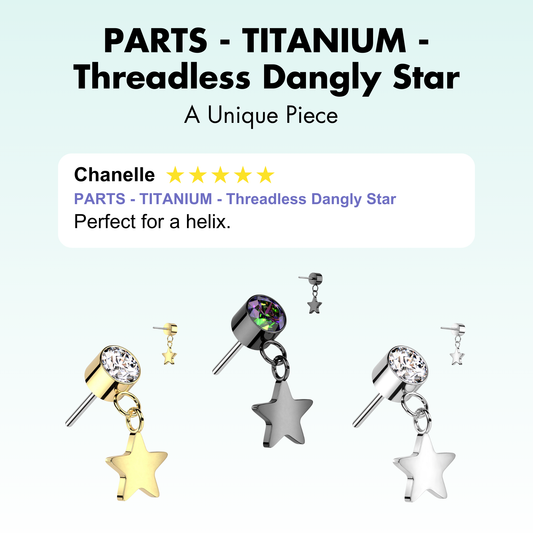 PARTS - TITANIUM - Threadless Dangly Star