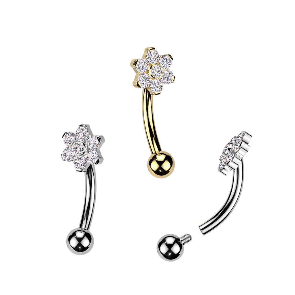 Curved Barbell - TITANIUM - IT Flower