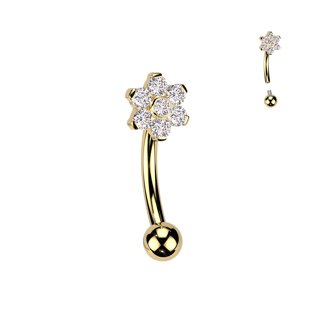 Curved Barbell - TITANIUM - IT Flower