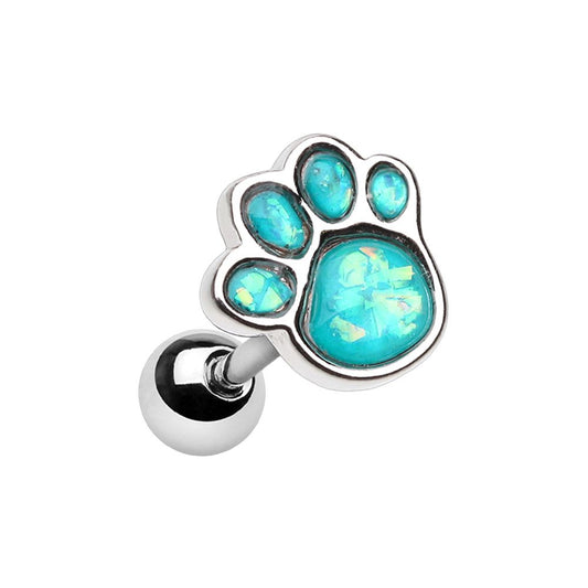 Cartilage - Paw