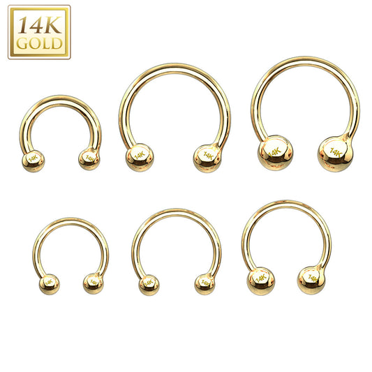 Circular Barbell - 14 Karat Gold