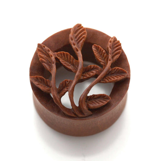 Last Chance Packs - Organics - Ivy