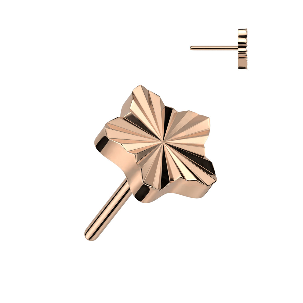 PARTS - TITANIUM - Threadless Diamond-Cut Star
