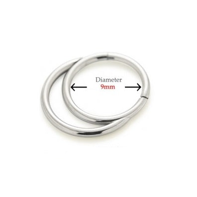Segment Ring - Hinged Double Hoop