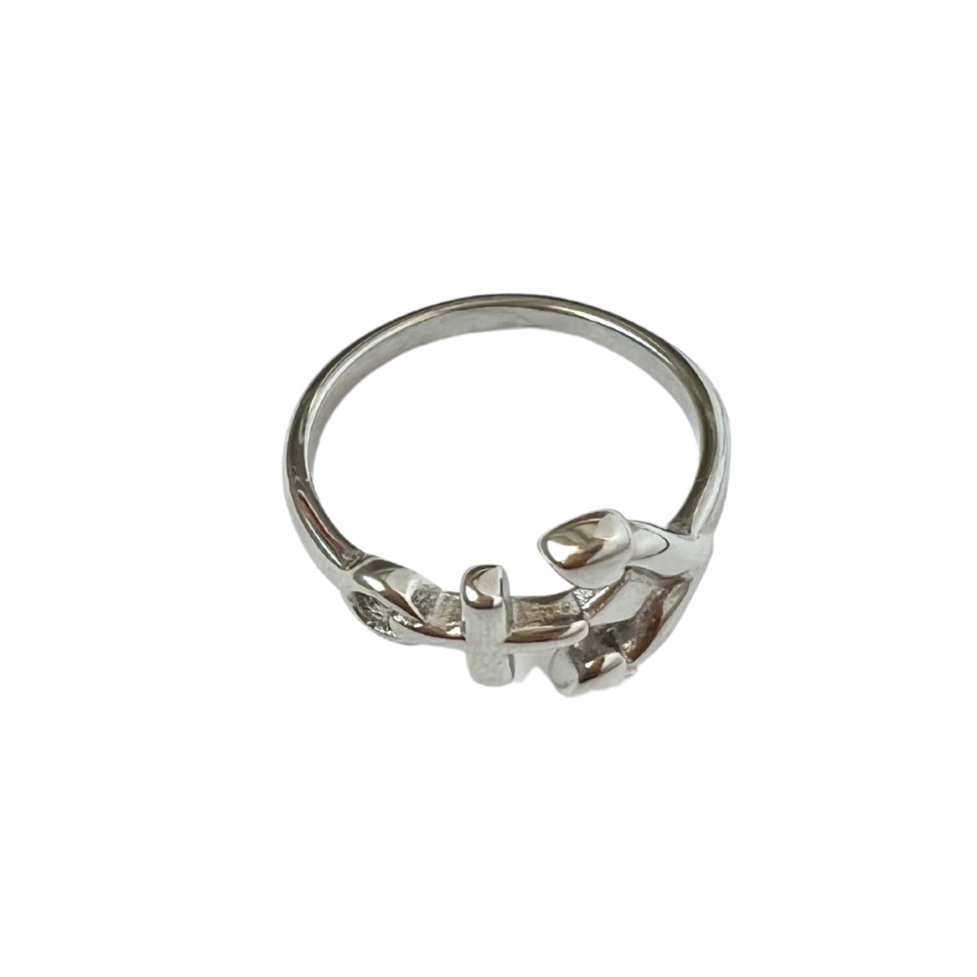Stainless steel ring with anchor.