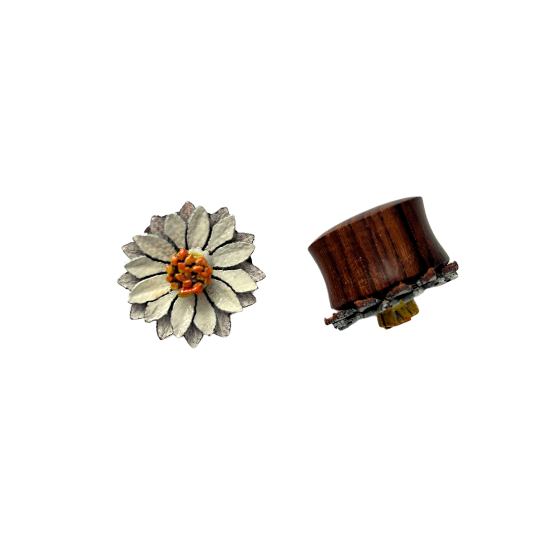 Last Chance Packs - Organics Pairs - Wood Daisy Plug