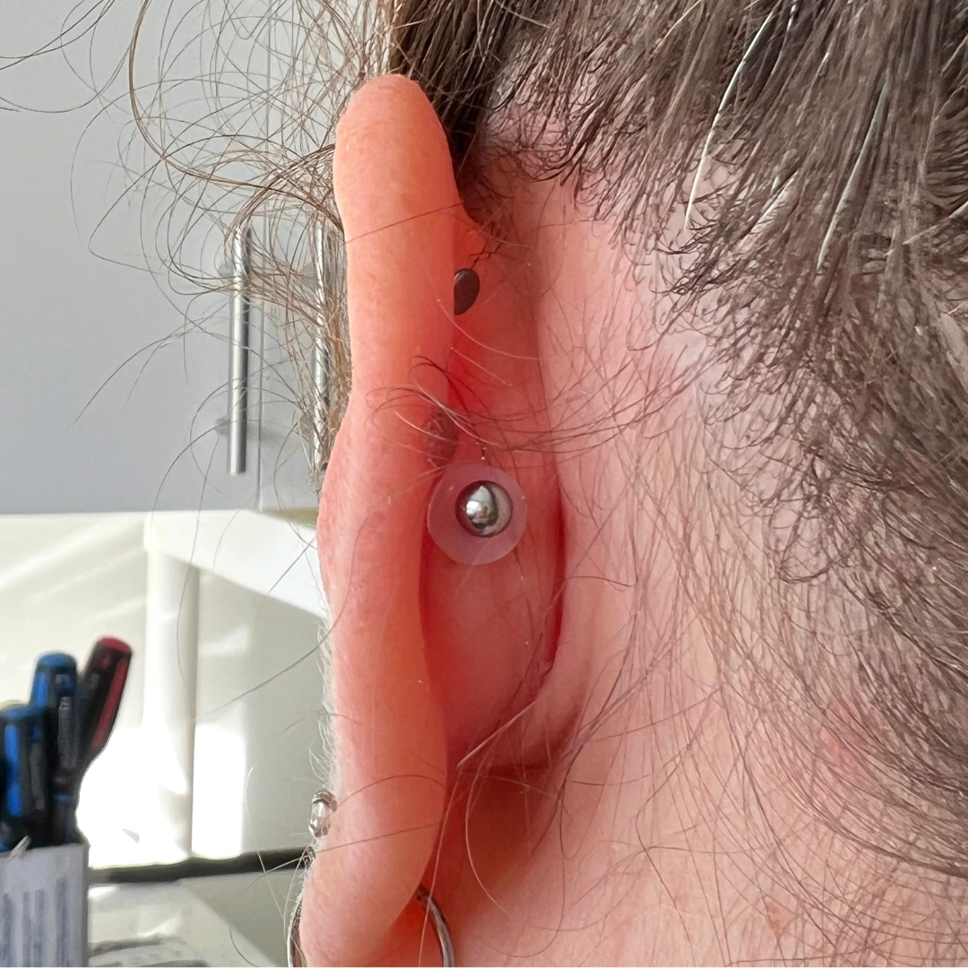 A model shown wearing a Medical Grade Silicone Disc shown on the back of cartilage jewellery.