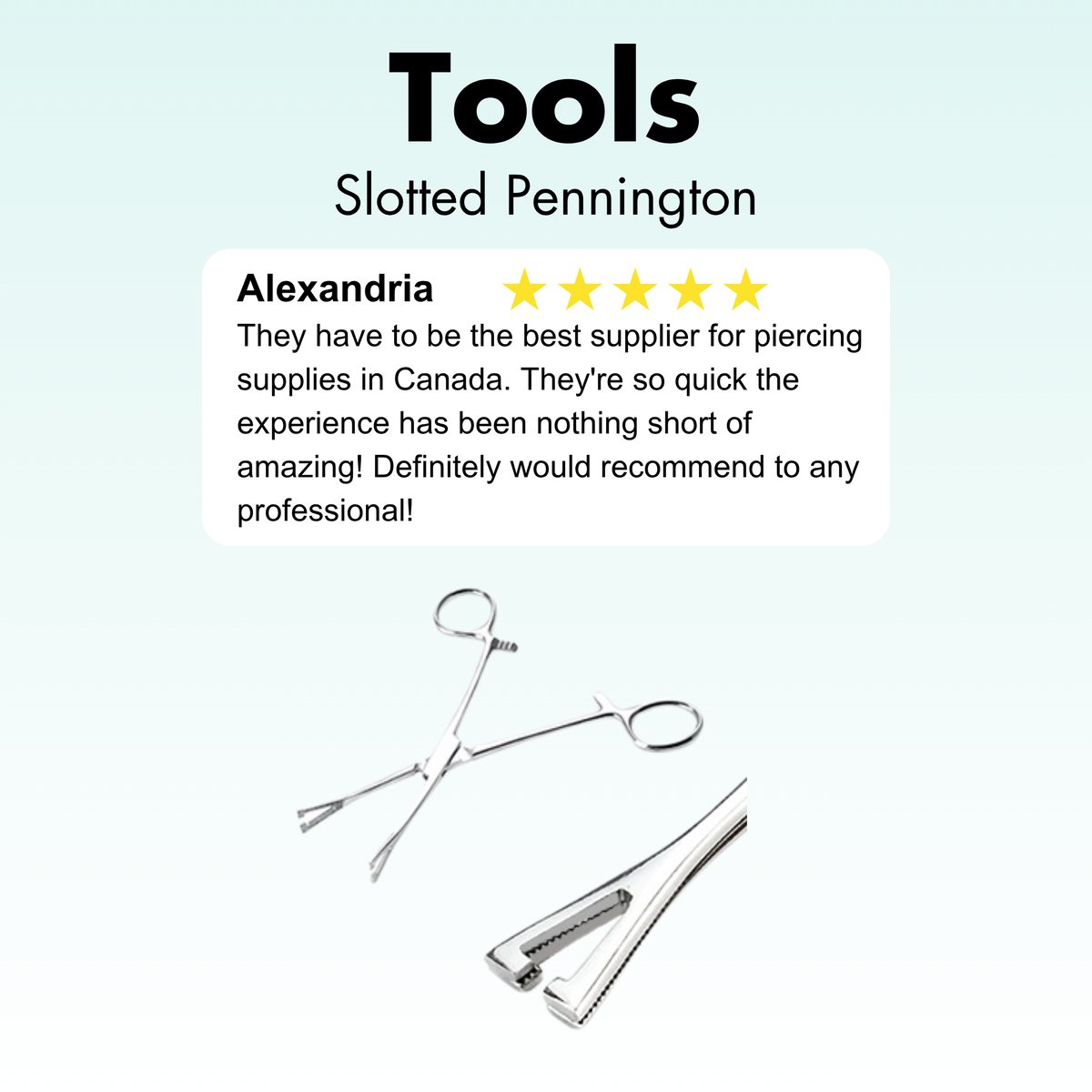 Two stainless steel piercing tools labeled 'Tools' and 'Slotted Pennington' on a pale blue gradient background, with a review card mentioning 'Alexandria' and five stars.
