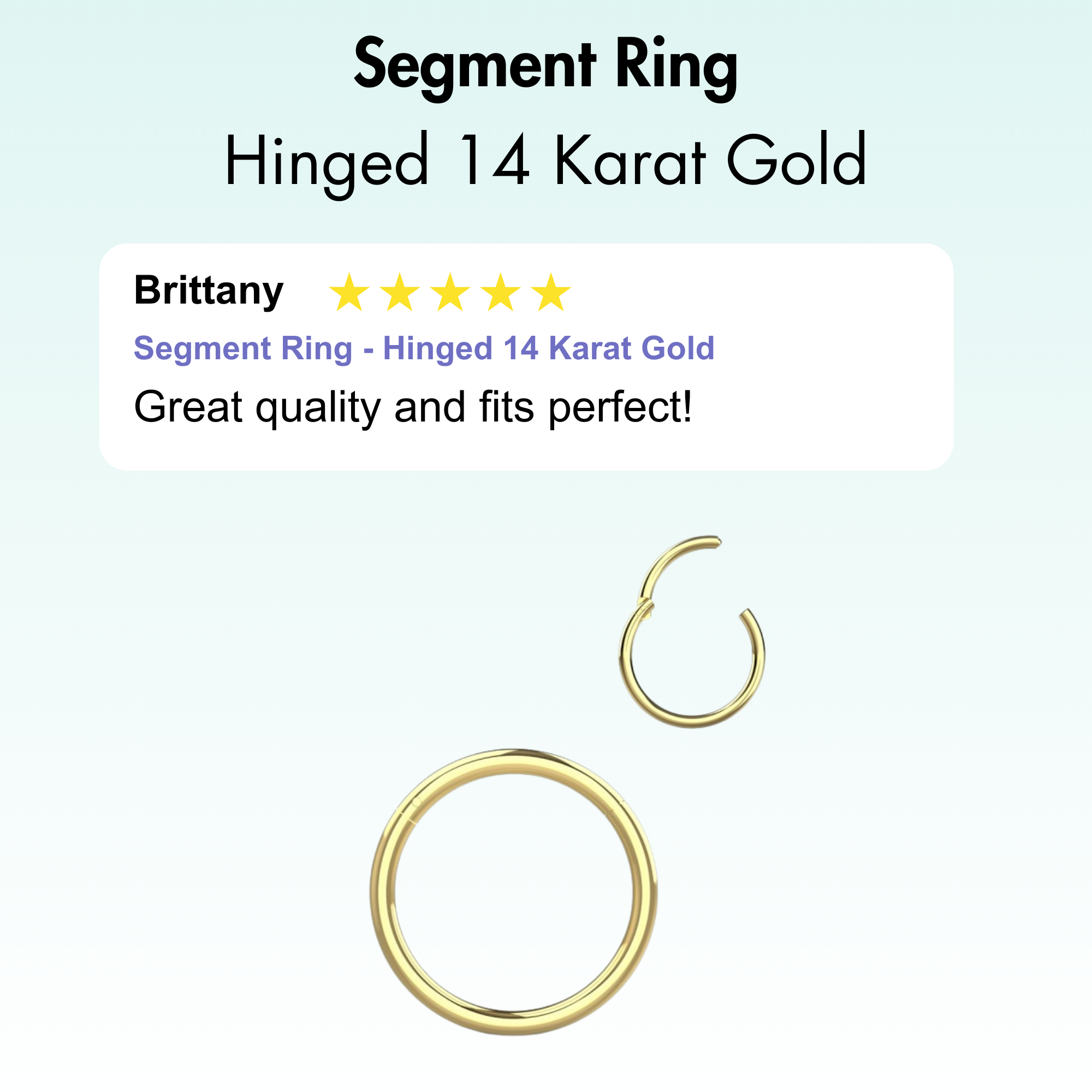 Segment Ring - Hinged 14 Karat Gold