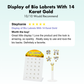 Display of Bio Labrets With 14 Karat Gold