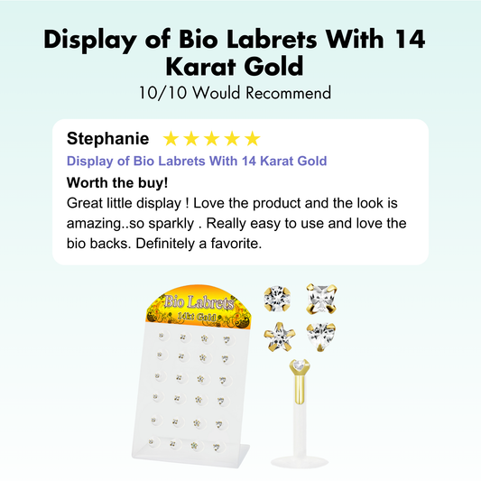 Display of Bio Labrets With 14 Karat Gold