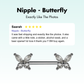 Nipple - Butterfly