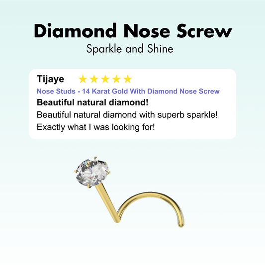 Nose Studs - 14 Karat Gold With Diamond Nose Screw