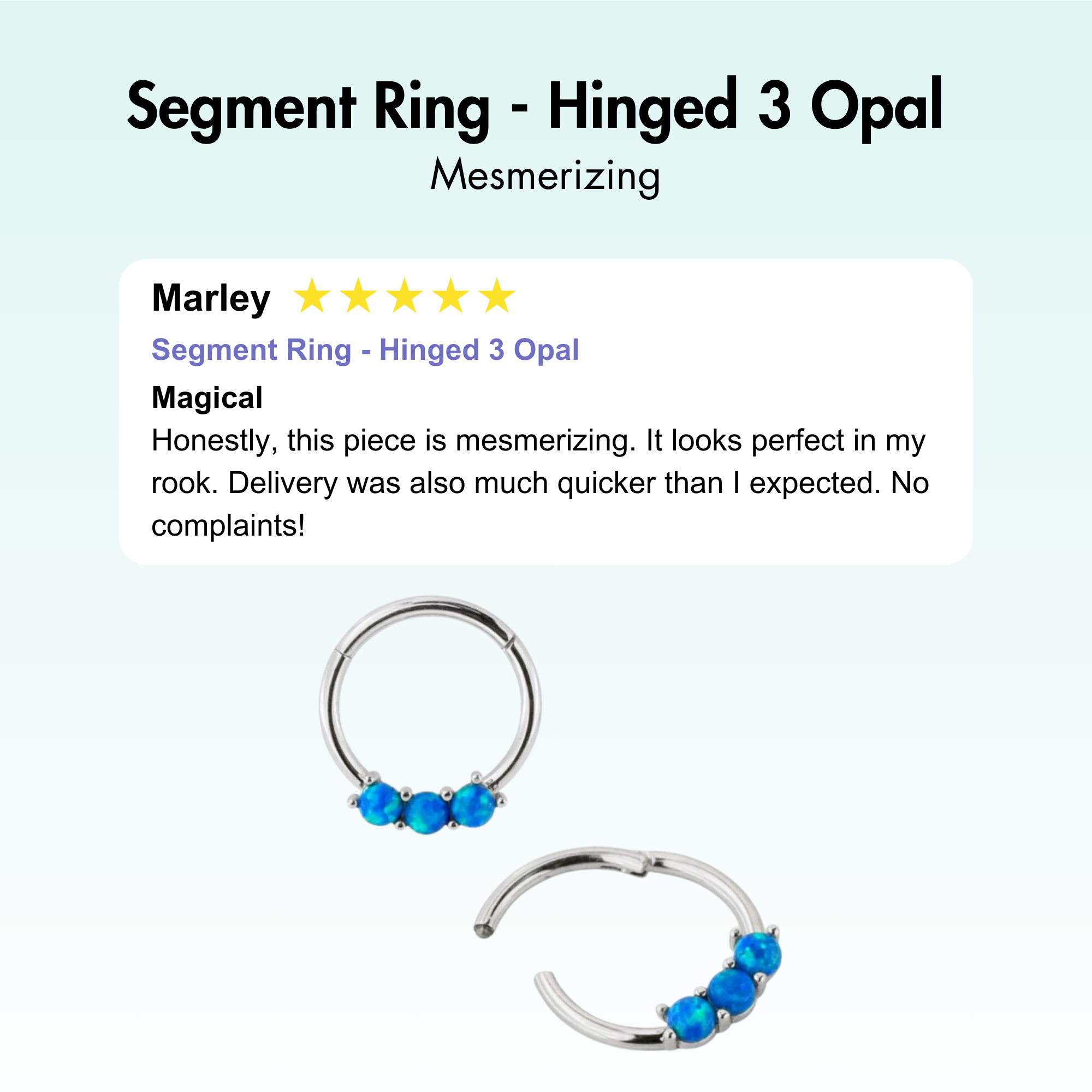 Segment Ring - Hinged 3 Opal