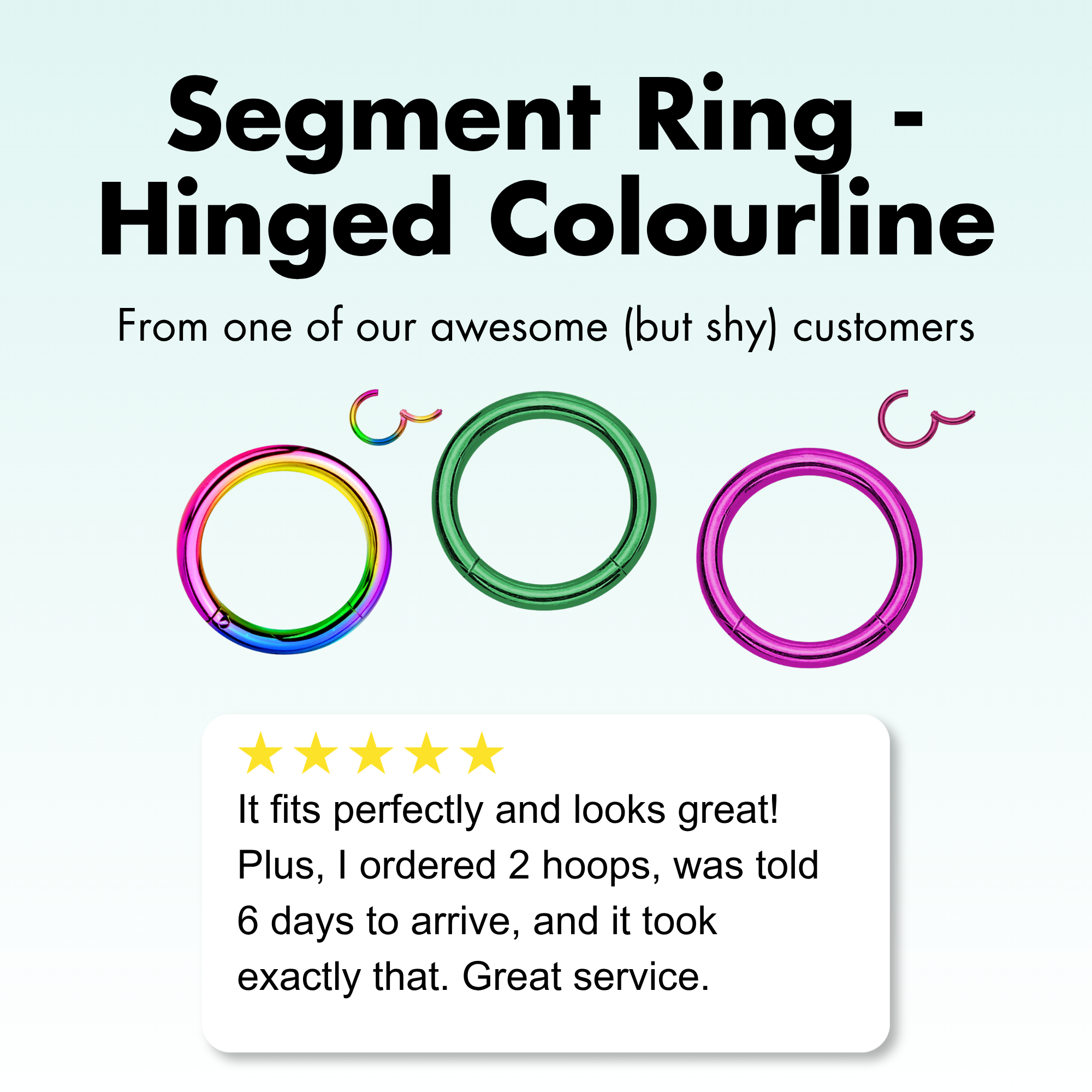 Segment Ring - Hinged Colourline
