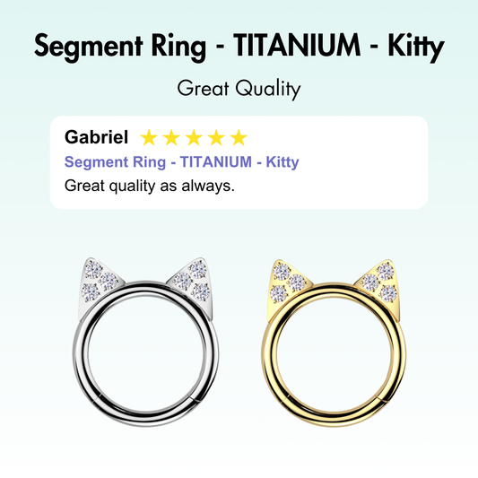 Segment Ring - TITANIUM - Kitty