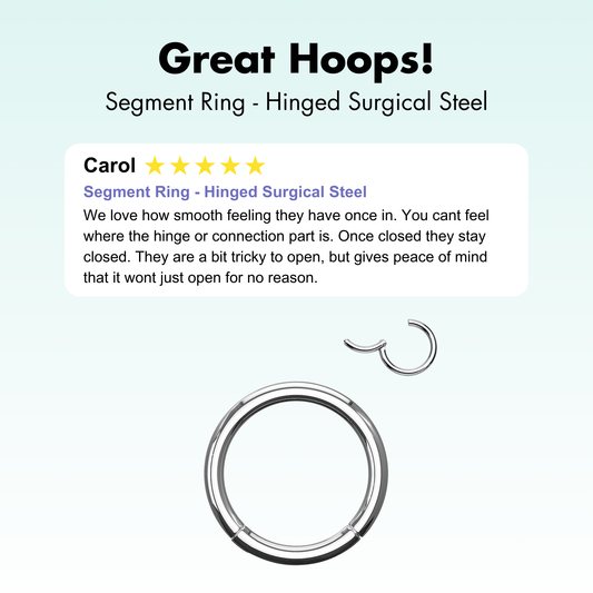 Segment Ring - Hinged Surgical Steel