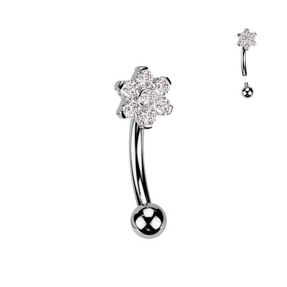 Curved Barbell - TITANIUM - IT Flower
