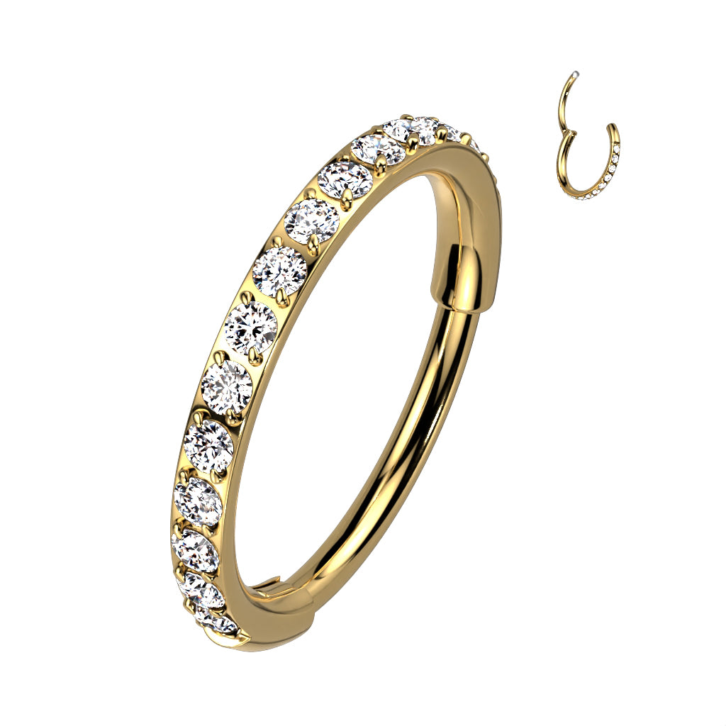 Segment Ring - TITANIUM - Side Facing Gems