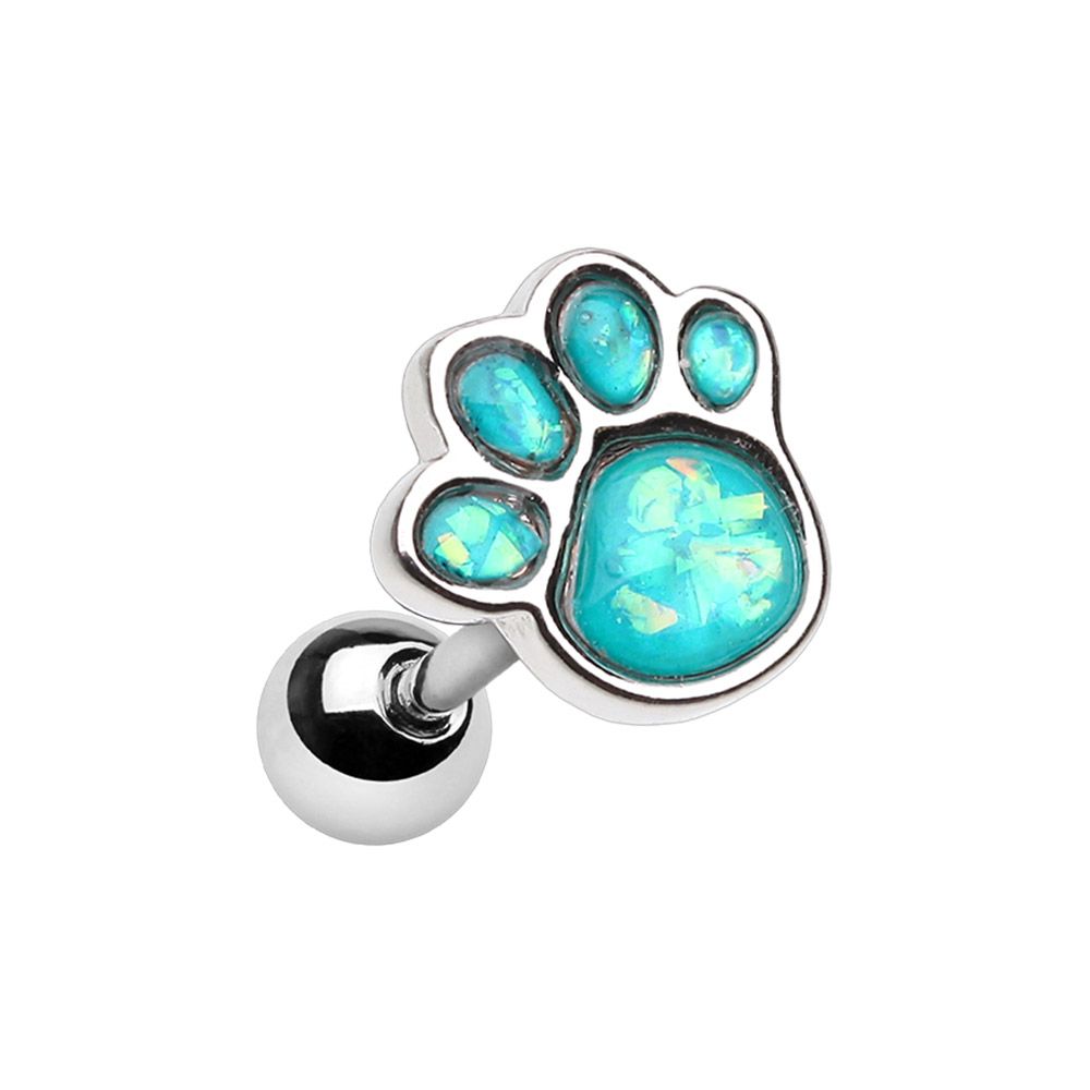 Cartilage - Paw