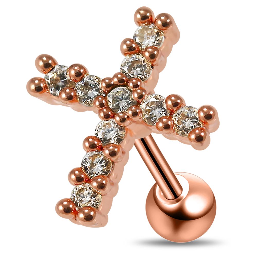 Cartilage - Cross