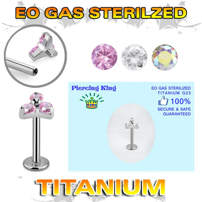Pre-Sterilized - TITANIUM - IT Labret Trinity