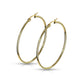 Earrings - Round Hoops