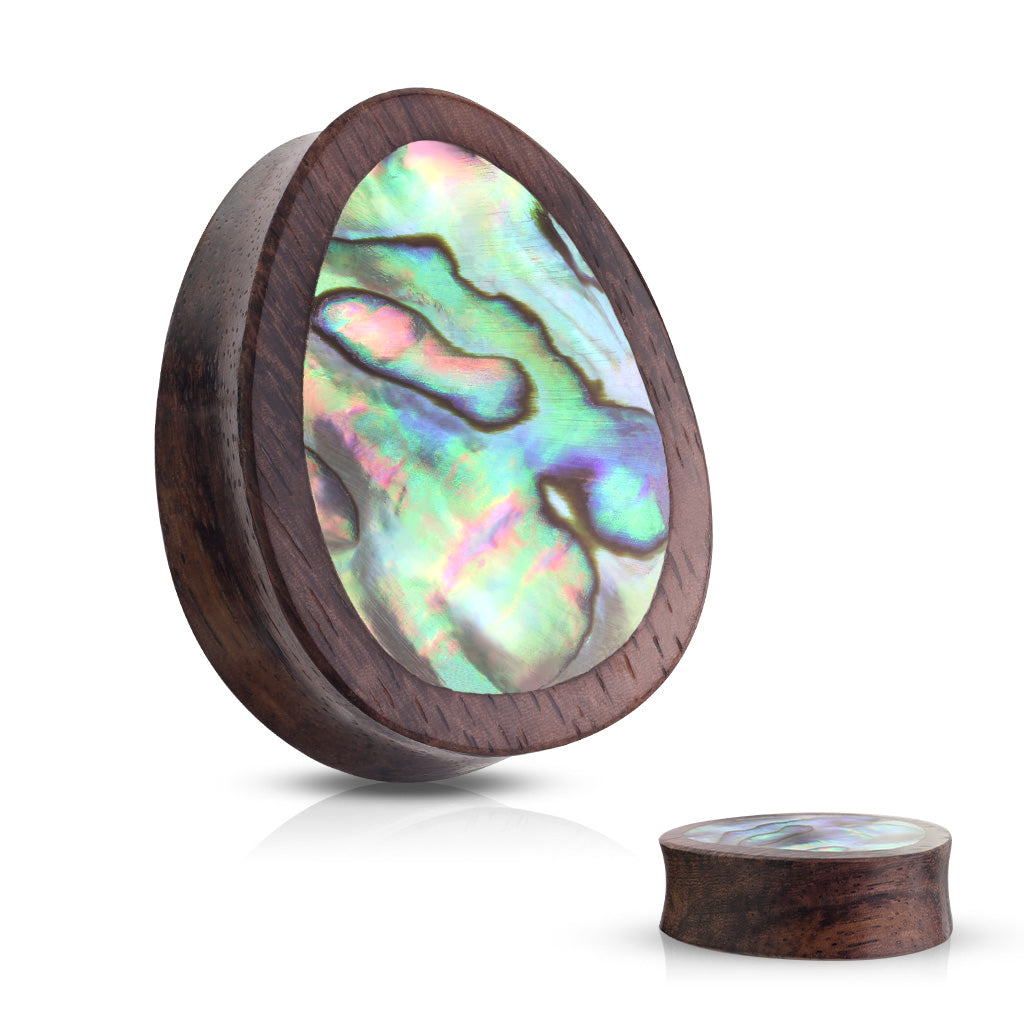 Organics Pairs - Wood Abalone Teardrop