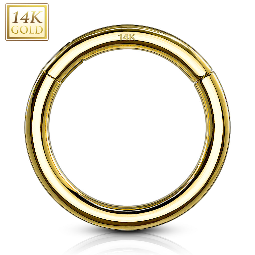 Segment Ring - Hinged 14 Karat Gold