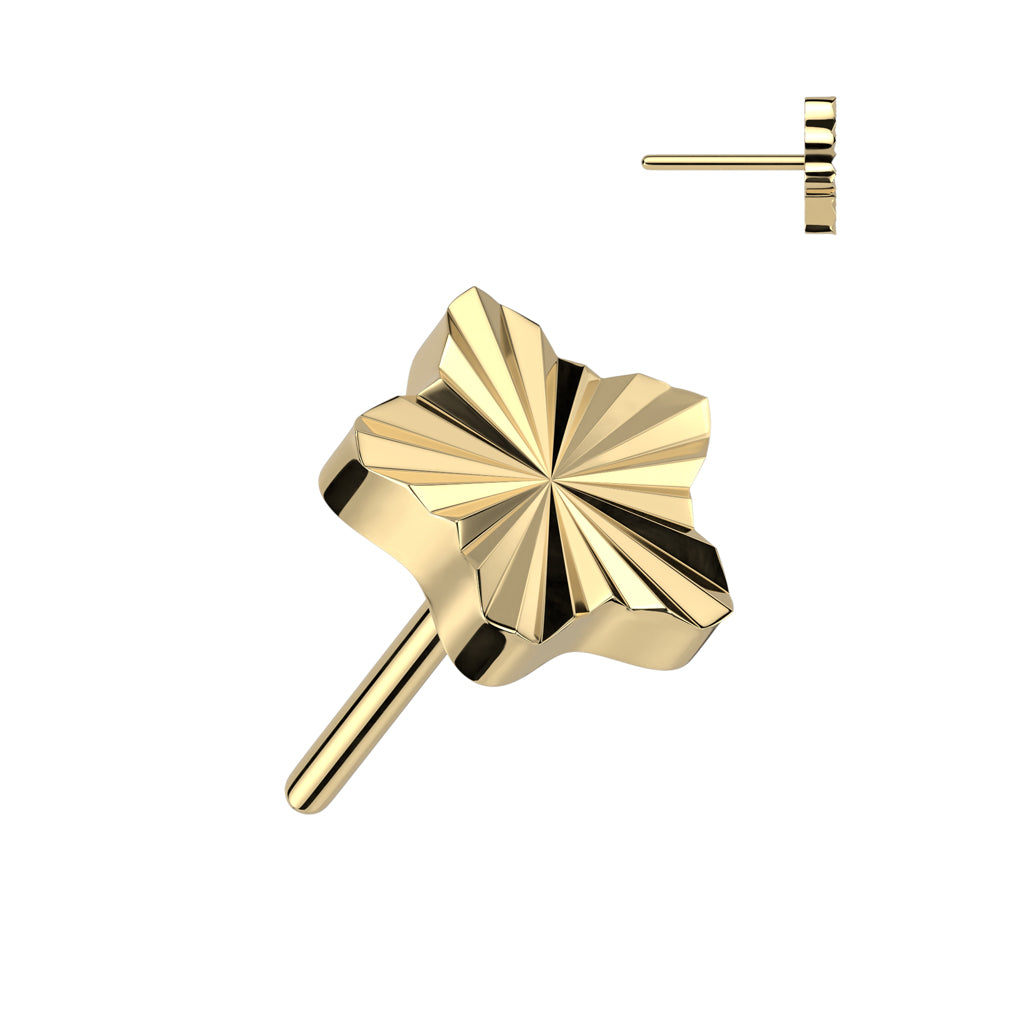PARTS - TITANIUM - Threadless Diamond-Cut Star