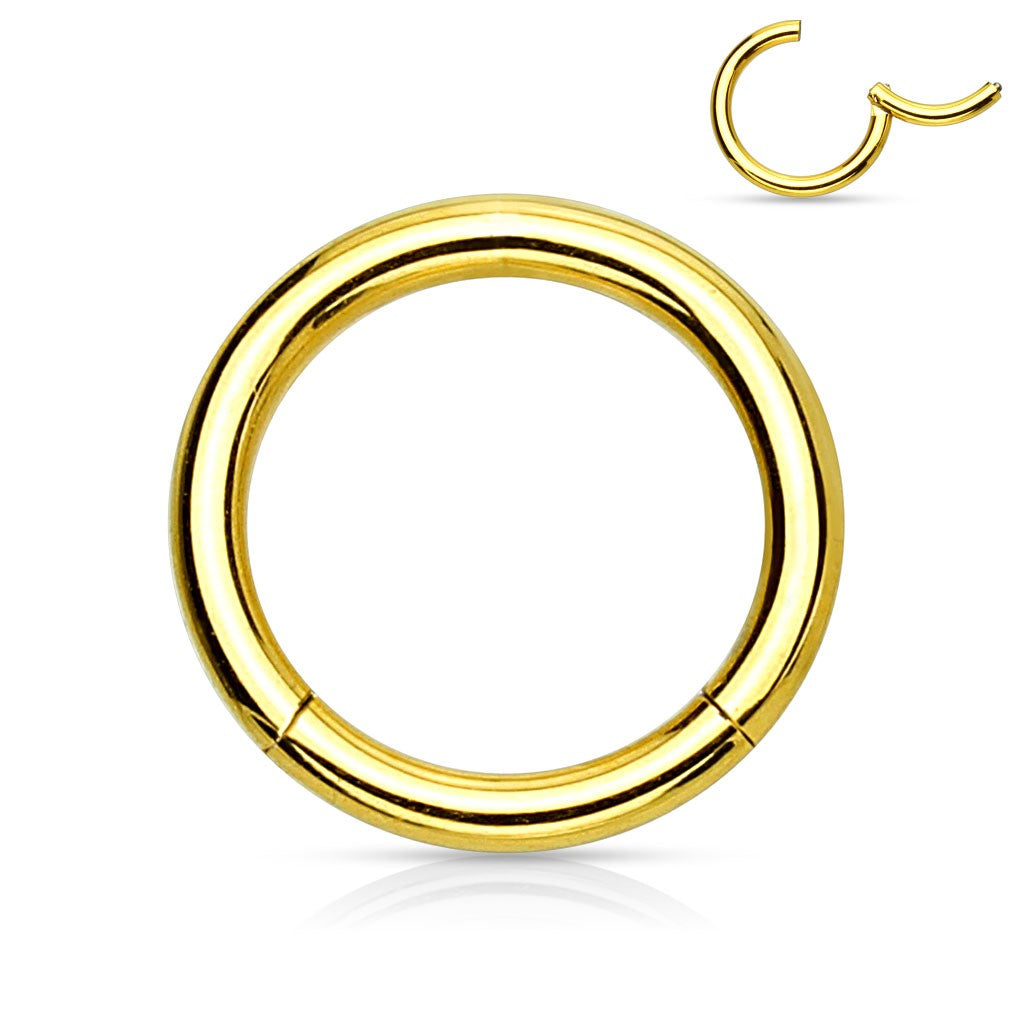 Segment Ring - TITANIUM - Gold Plated