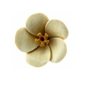 A single crocodile wood double flared blossom plug with a flower-like structure.