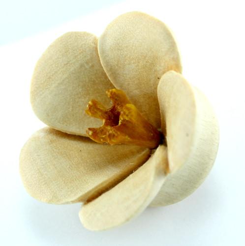 A Bali Blossom crocodile wood double flared plug.