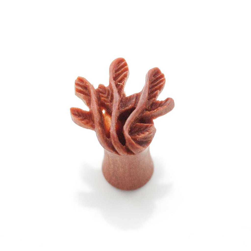 Last Chance Packs - Organics - Ivy