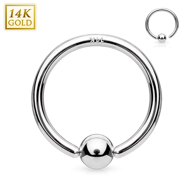Nose Hoops - White Gold
